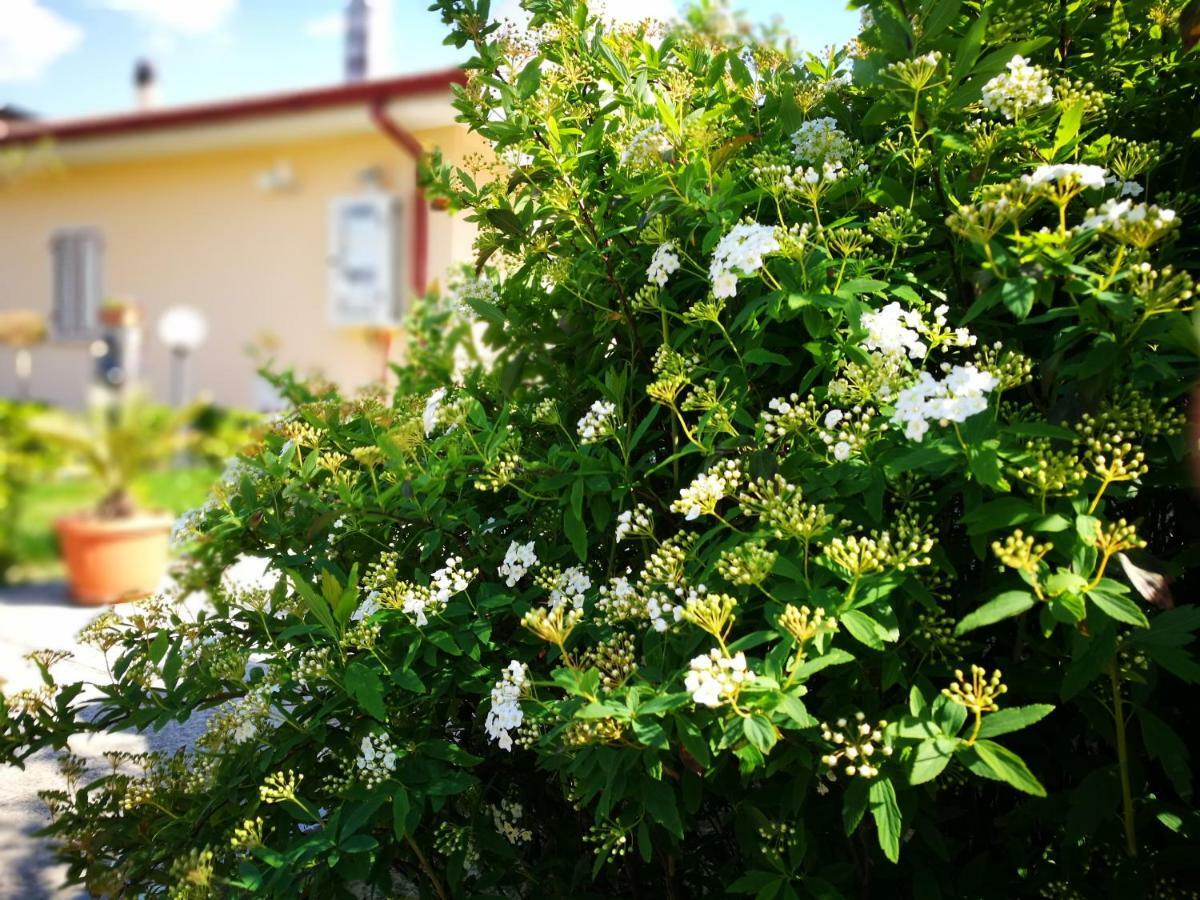 Marano MarchesatoLa Residenza Del Marchesato住宿加早餐旅馆 外观 照片